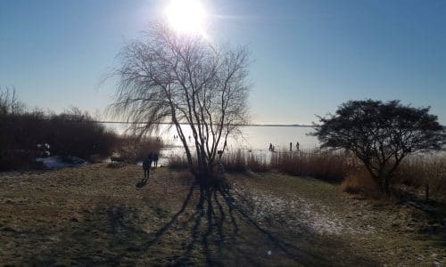 Smuk vinterdag ved Arresø